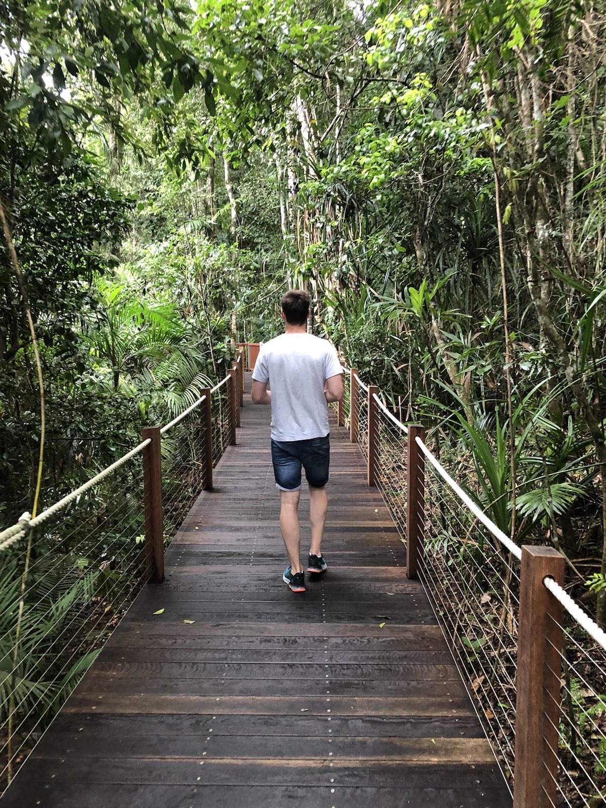 Inside the Rainforrest